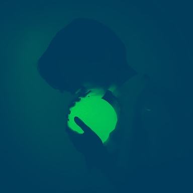 Avatar to alfur